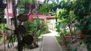 massai_jardin