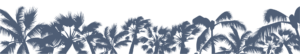 playa_flamingo_footer